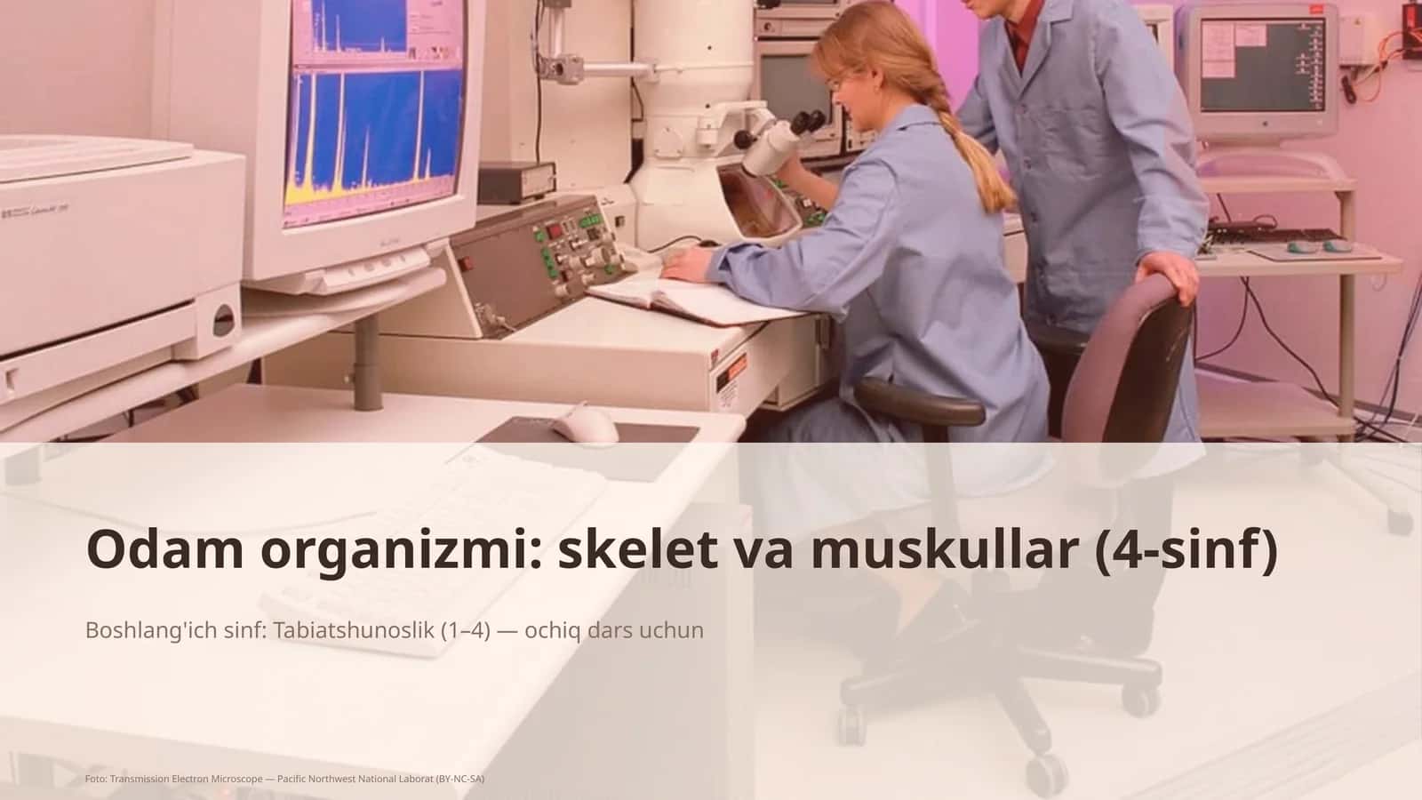 Odam organizmi: skelet va muskullar (4-sinf)