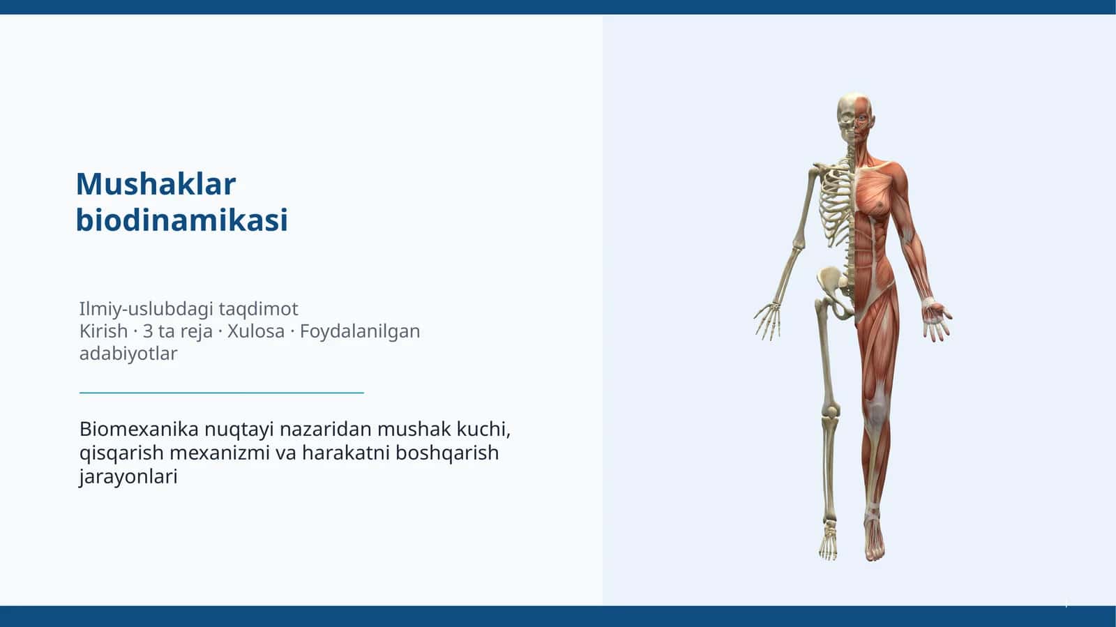 Mushaklar