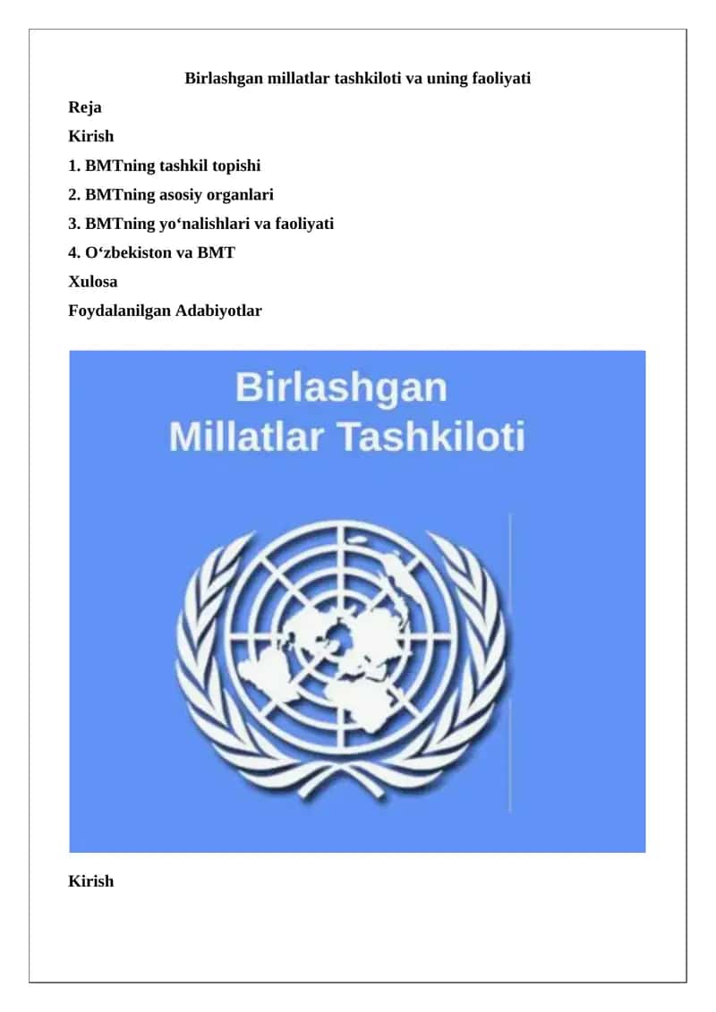 Birlashgan Millatlar Tashkiloti va uning faoliyati