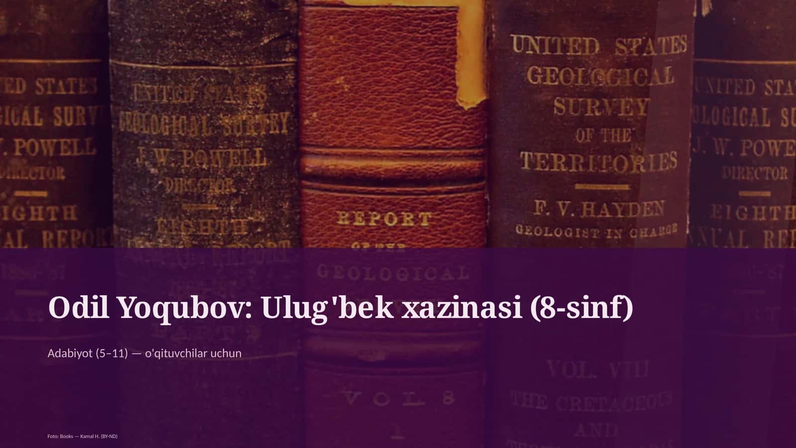 Ulug'bek xazinasi (8-sinf)
