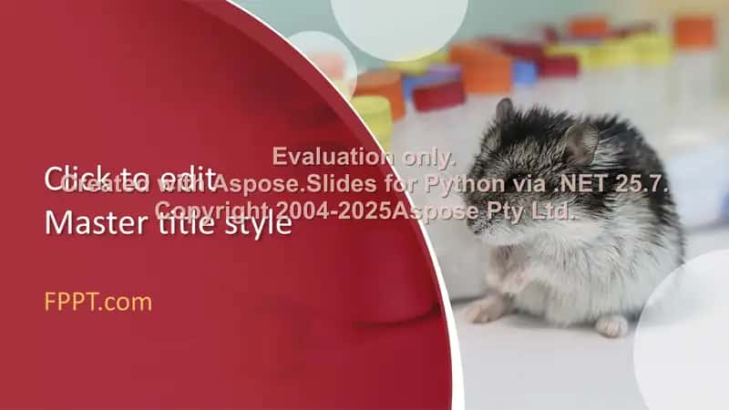 Presentation Templates