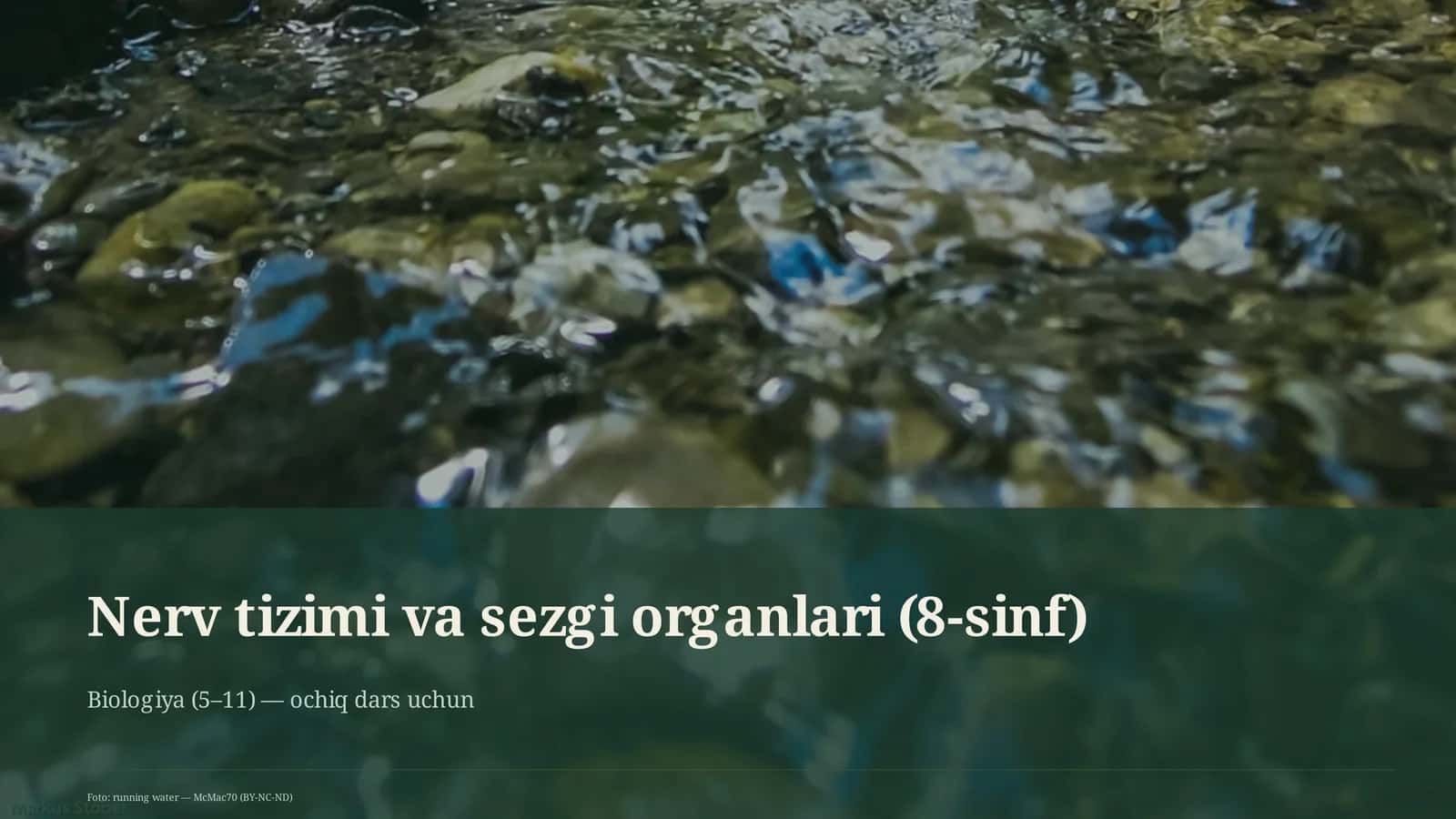 Nerv tizimi va sezgi organlari (8-sinf)
