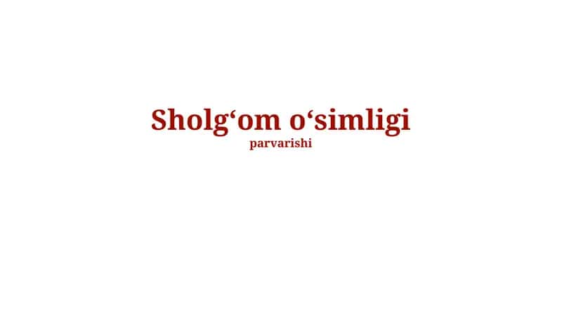 Turnip o'simligi haqida