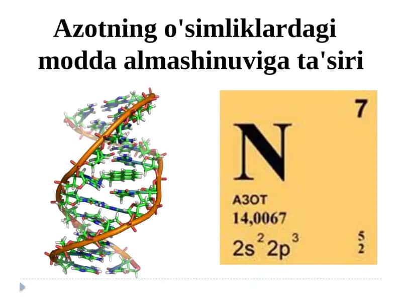 Azotning o'simliklardagi modda almashinuvi gata'siri