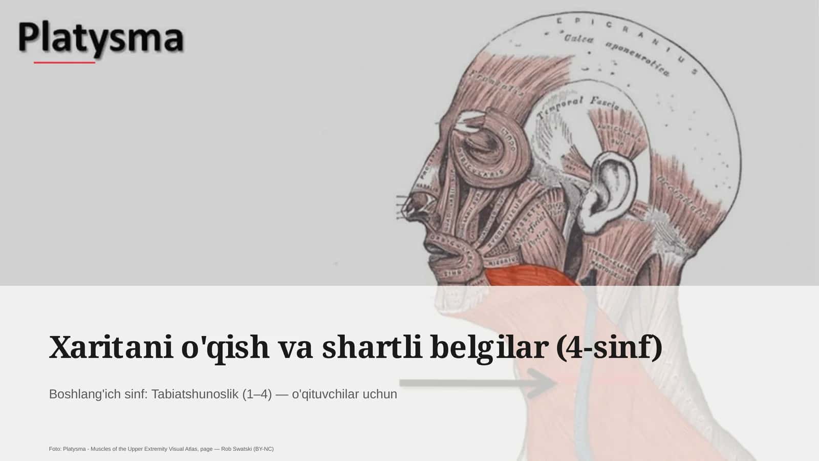 Xaritani o'qish va shartli belgilar (4-sinf)