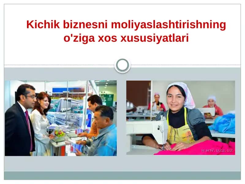 Kichik biznesni moliyalashtirishning o'ziga xos xususiyatlari
