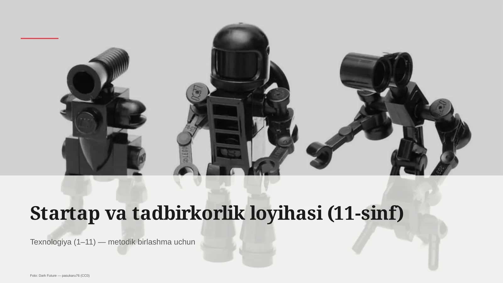 Startap va tadbirkorlik loyihasi (11-sinf)