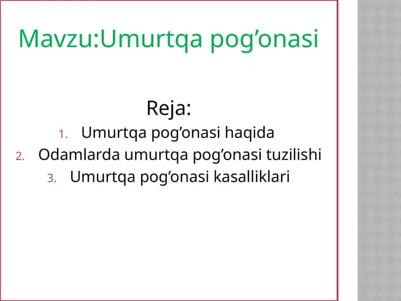 Umurtqa pog’onasi