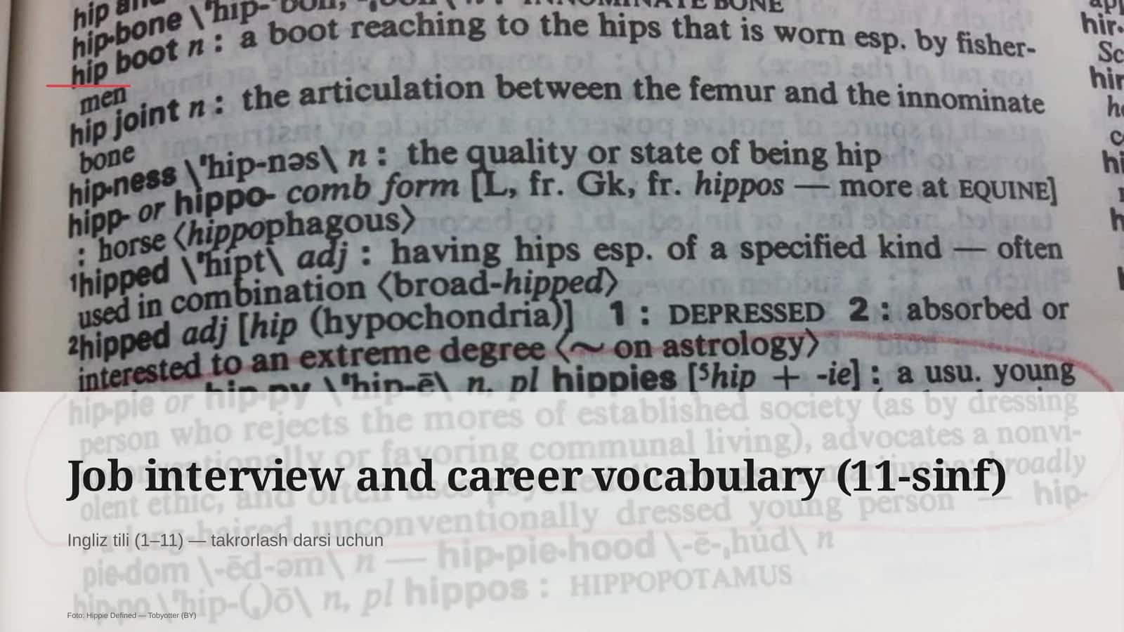 Job interview and career vocabulary (11-sinf)