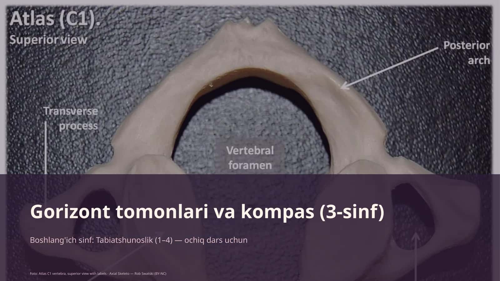 Gorizont tomonlari va kompas (3-sinf)