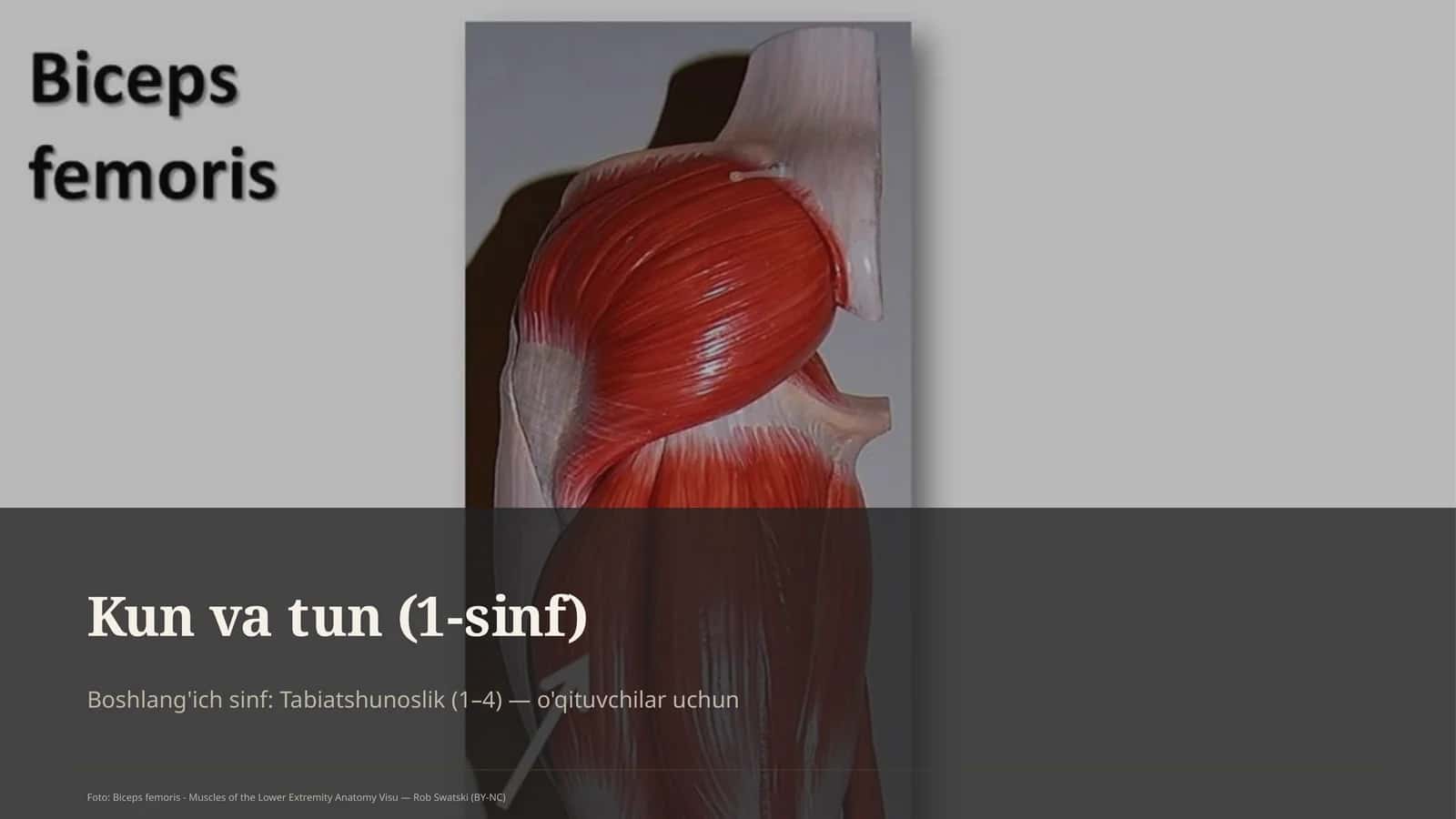 Kun va tun (1-sinf)