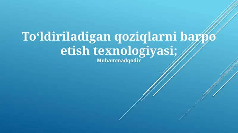 To‘ldiriladigan qoziqlarni barpo etish texnologiyasi