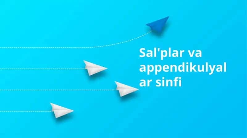 Sal'plar va appendikulyalar sinfi