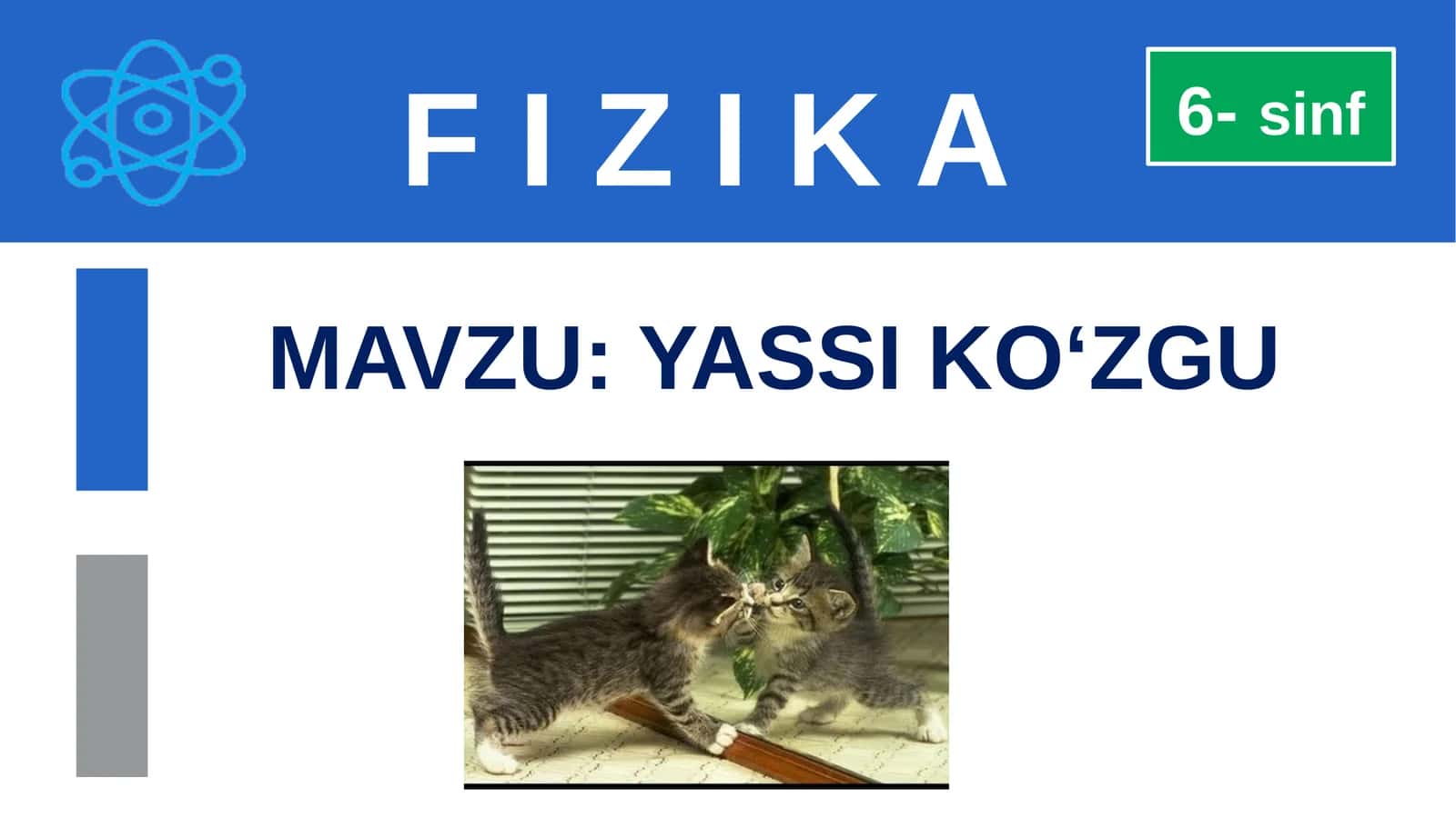 F I Z I K A