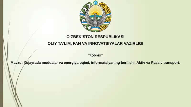 Moddalar va energiya oqimi