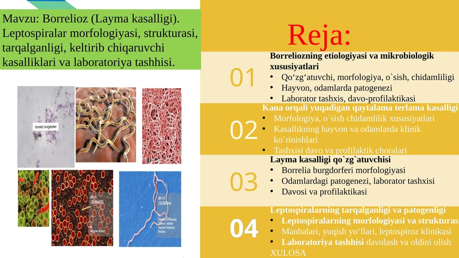 Borrelioz(Laymakasalligi).Leptospiralarmorfologiyasi,strukturasi,tarqalganligi,keltiribchiqaruvchikasalliklarivalaboratoriyatashhisi