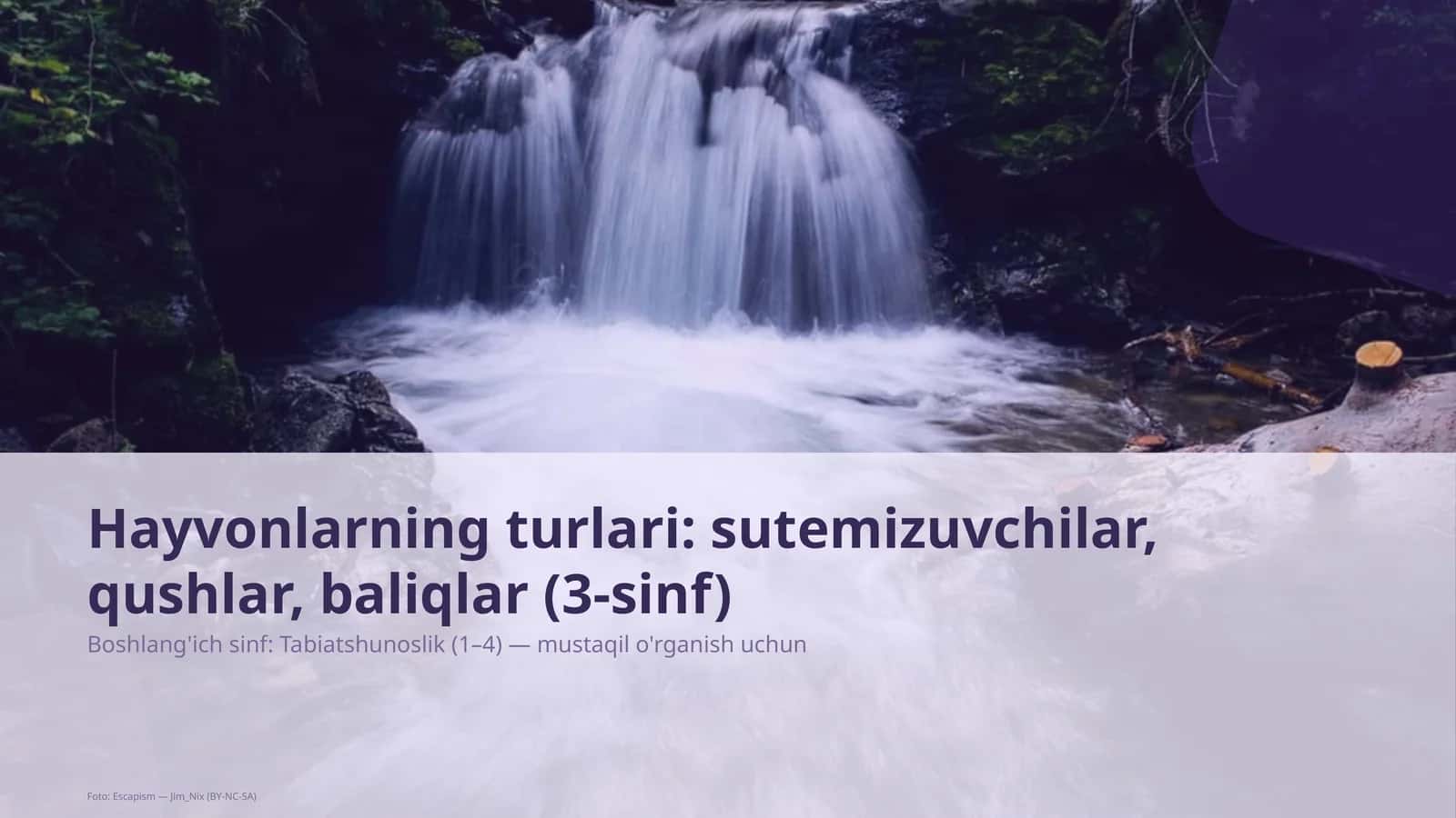 Tabiatshunoslik