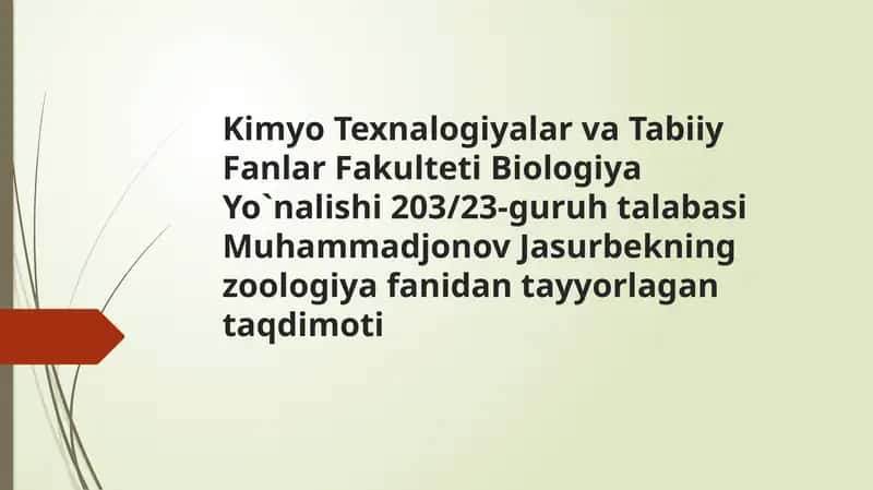 G`ozsimonlarturkumi