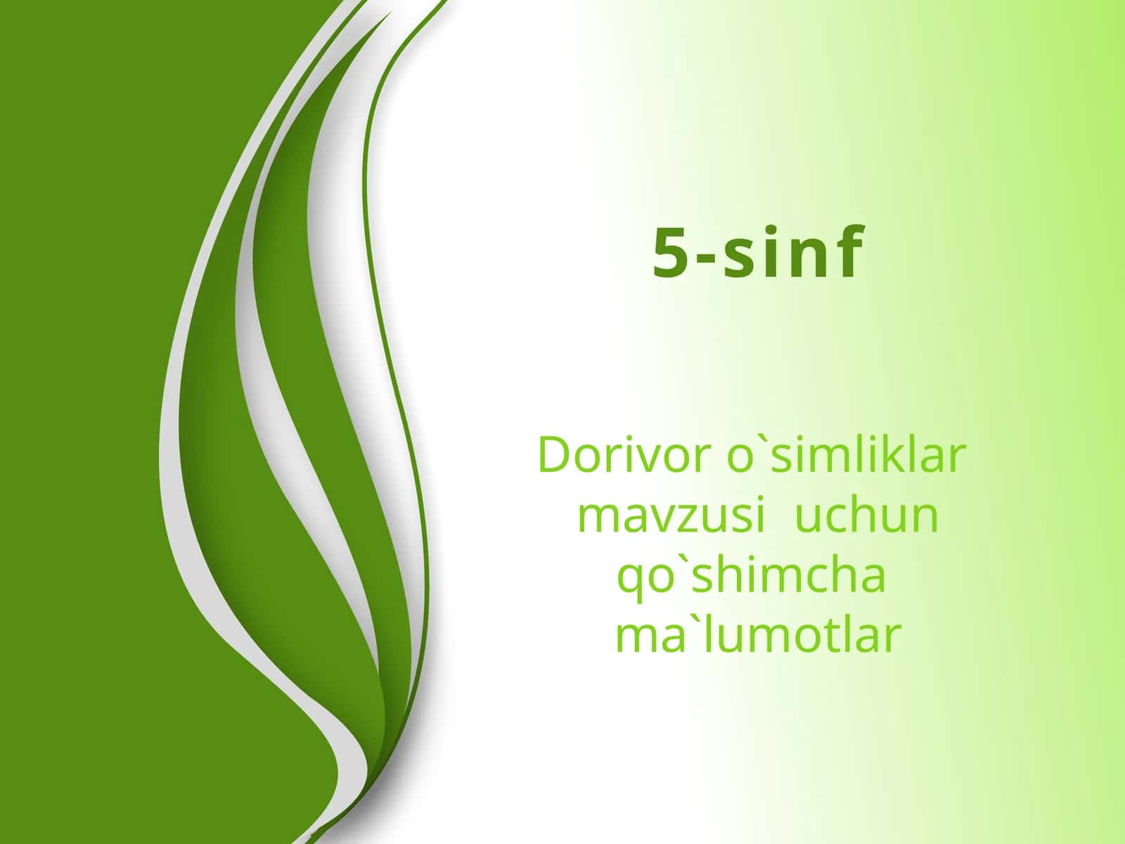Dorivor o`simliklar