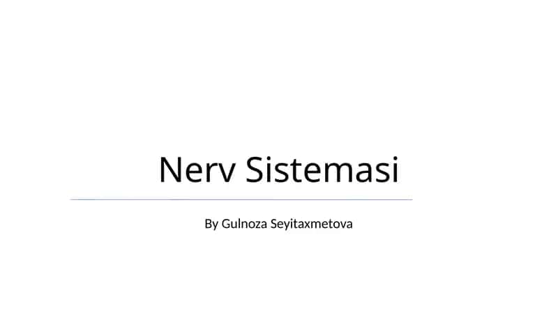 Nerv Sistemasi