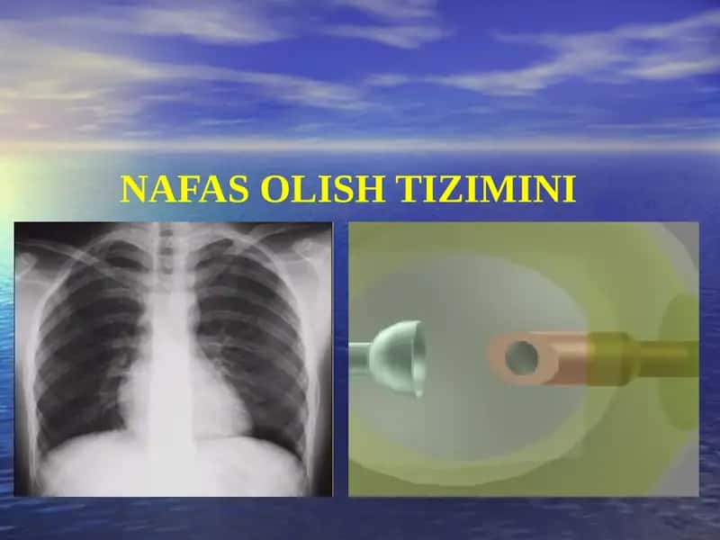 NAFAS OLISH TIZIMI
