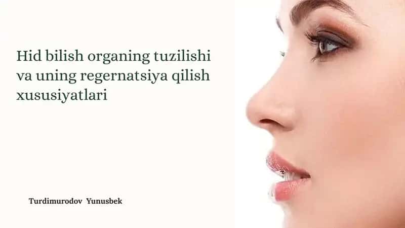 Hidbilish organining tuzilishi va uning regeneratsiya qilish xususiyatlari