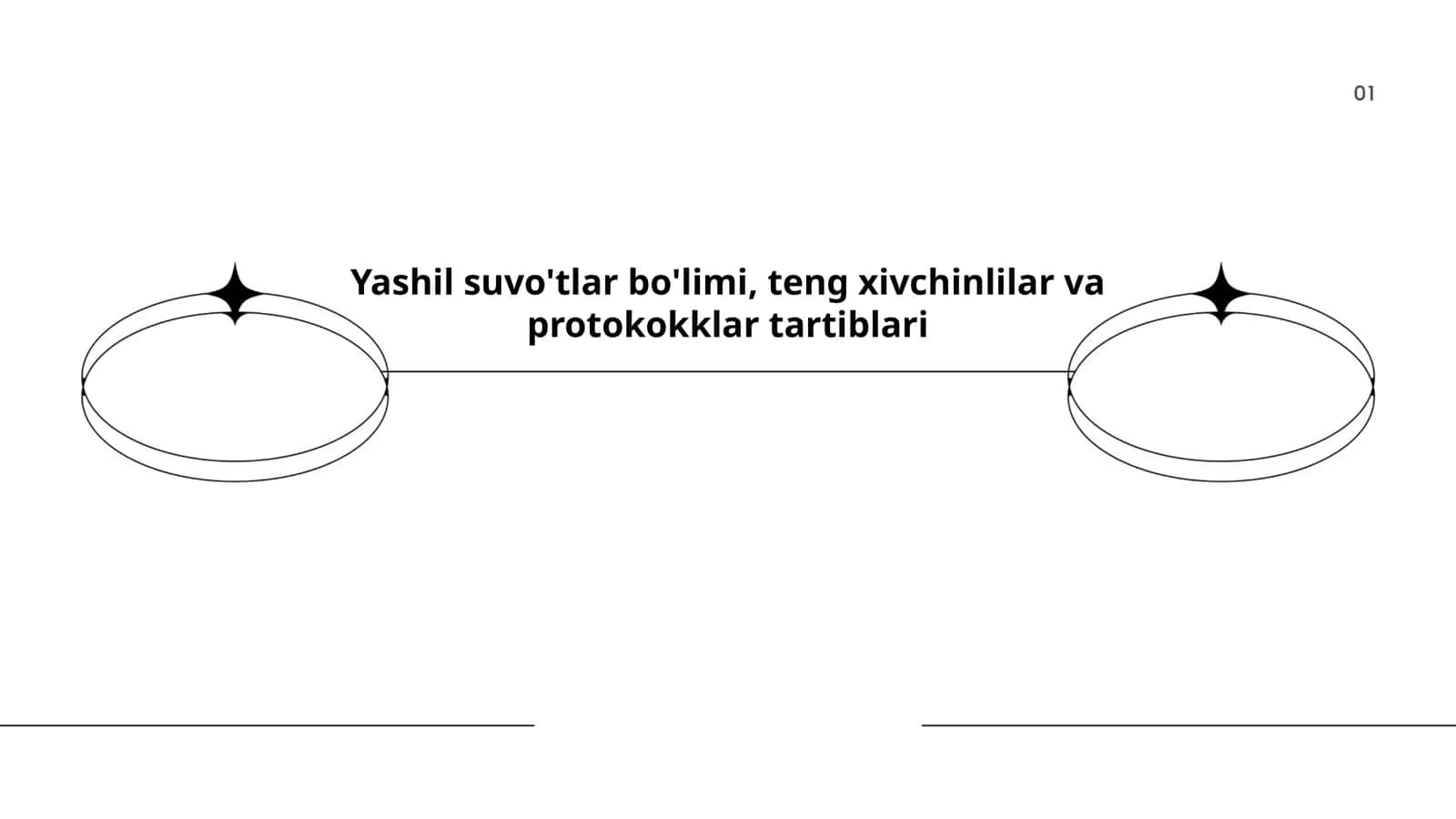 Yashil suvo'tlar bo'limi, teng xivchinlilar va protokokklar tartiblari