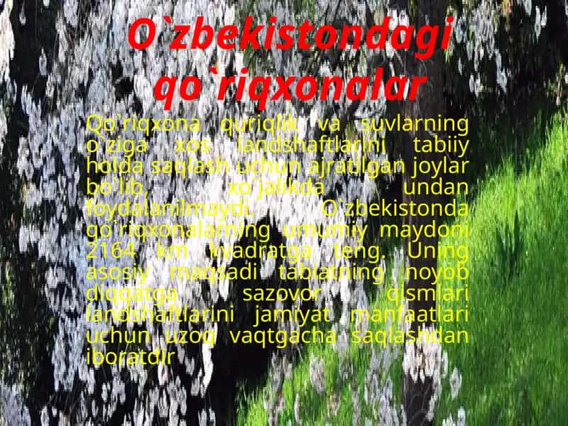 O`zbekistondagi qo`riqxonalar
