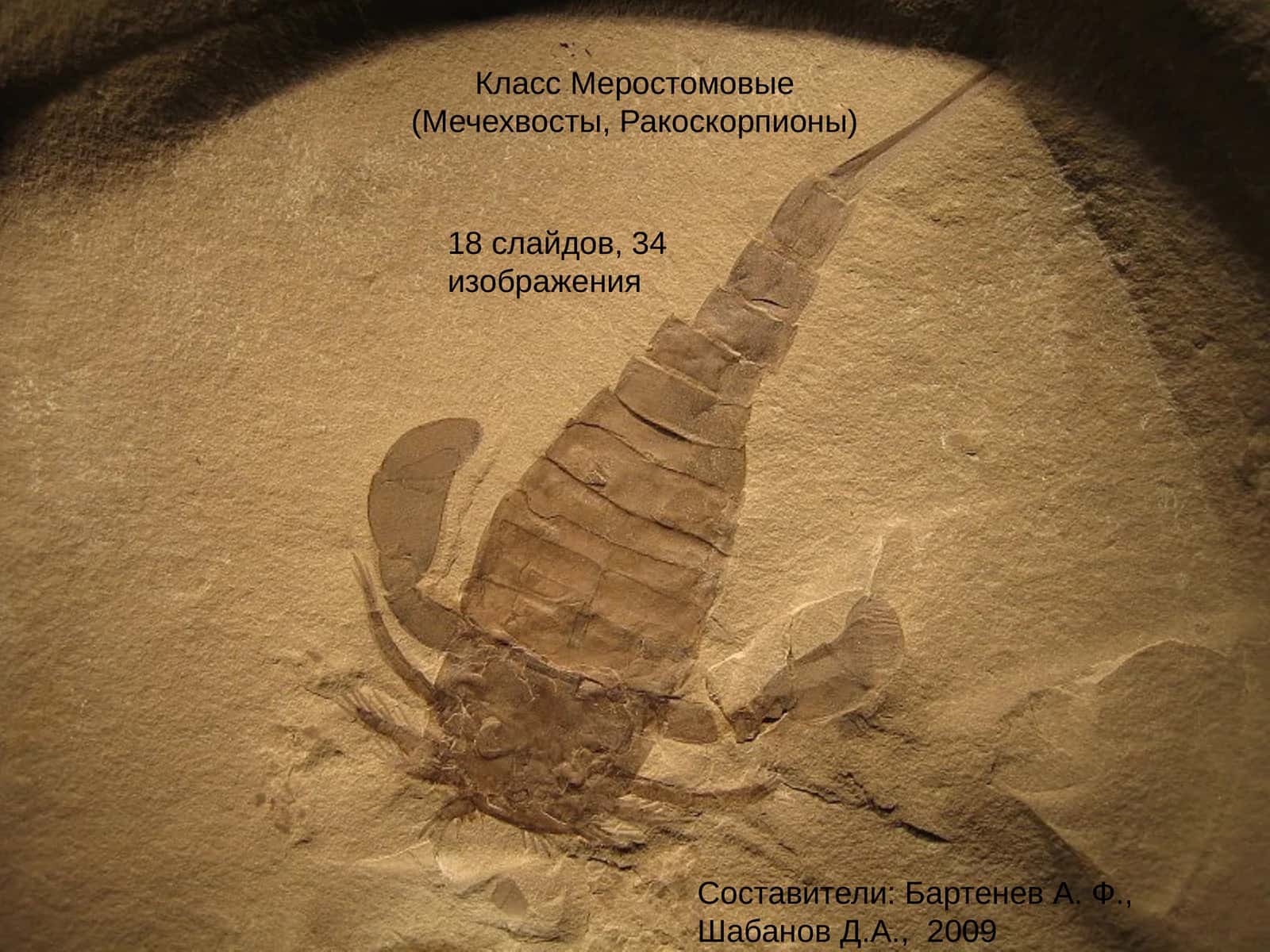 Класс Меростомовые