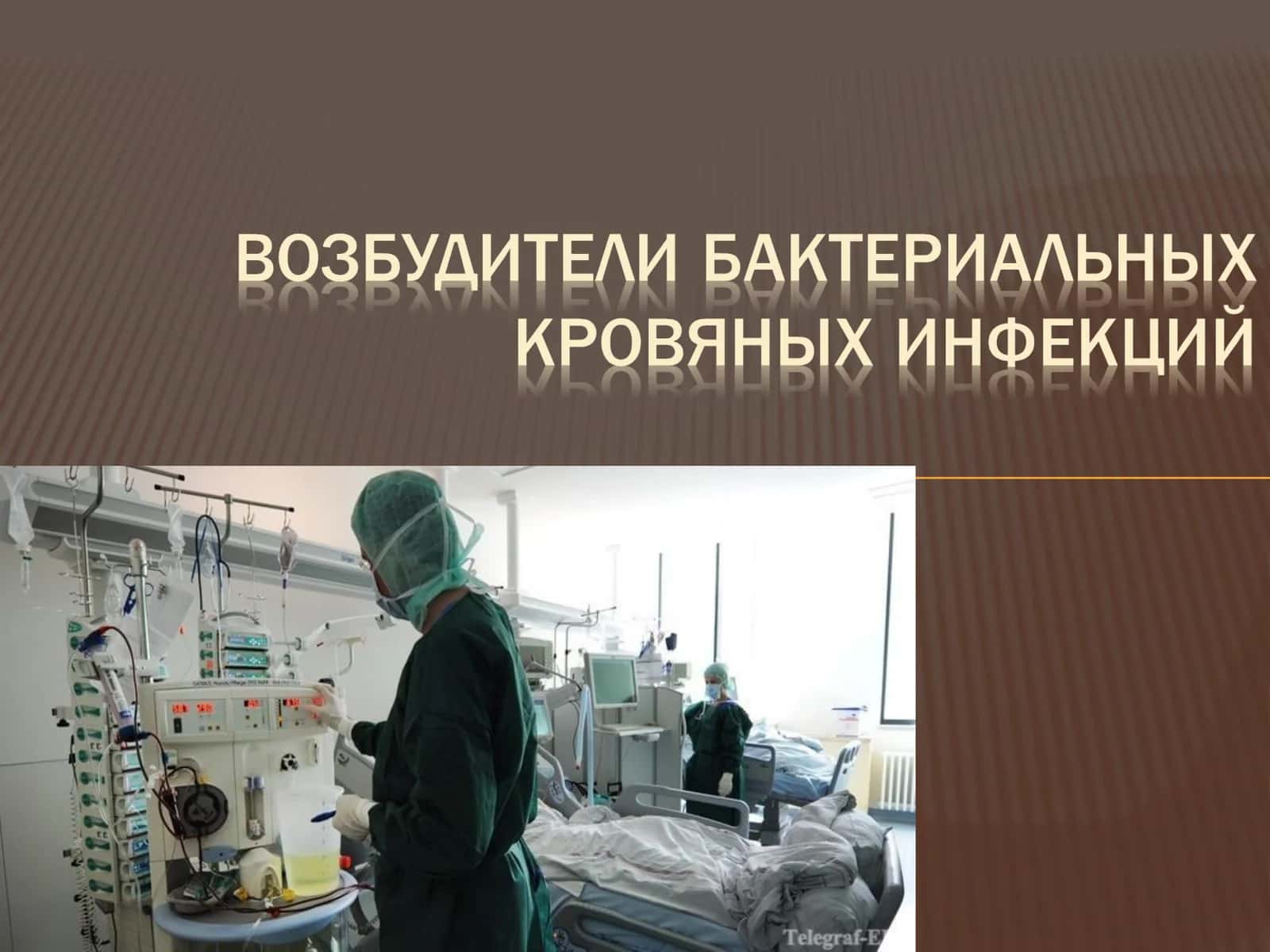 Возбудитель чумы