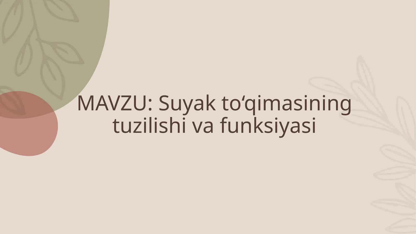 Suyak to‘qimasining tuzilishi va funksiyasi
