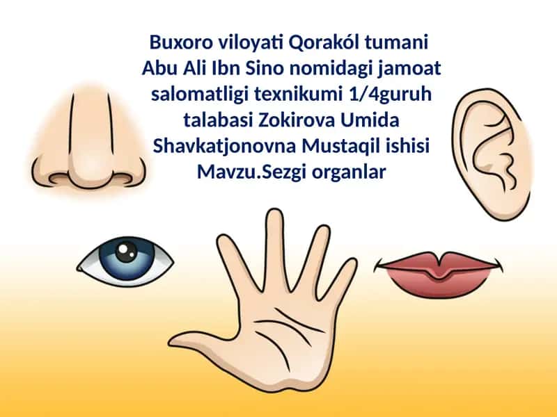 Abu Ali Ibn Sino nomidagi jamoat salomatligi texnikumi guruh talabasi Zokirova Umida Shavkatjonovna Mustaqilishisi