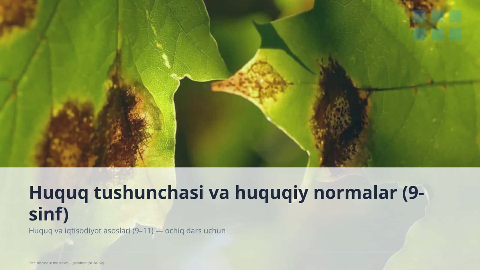 Huquq tushunchasi va huquqiy normalar (9-sinf)
