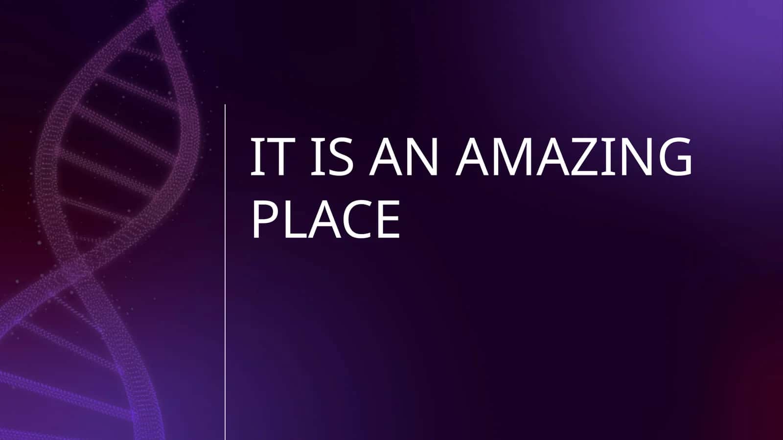IT IS AN AMAZING PLACE