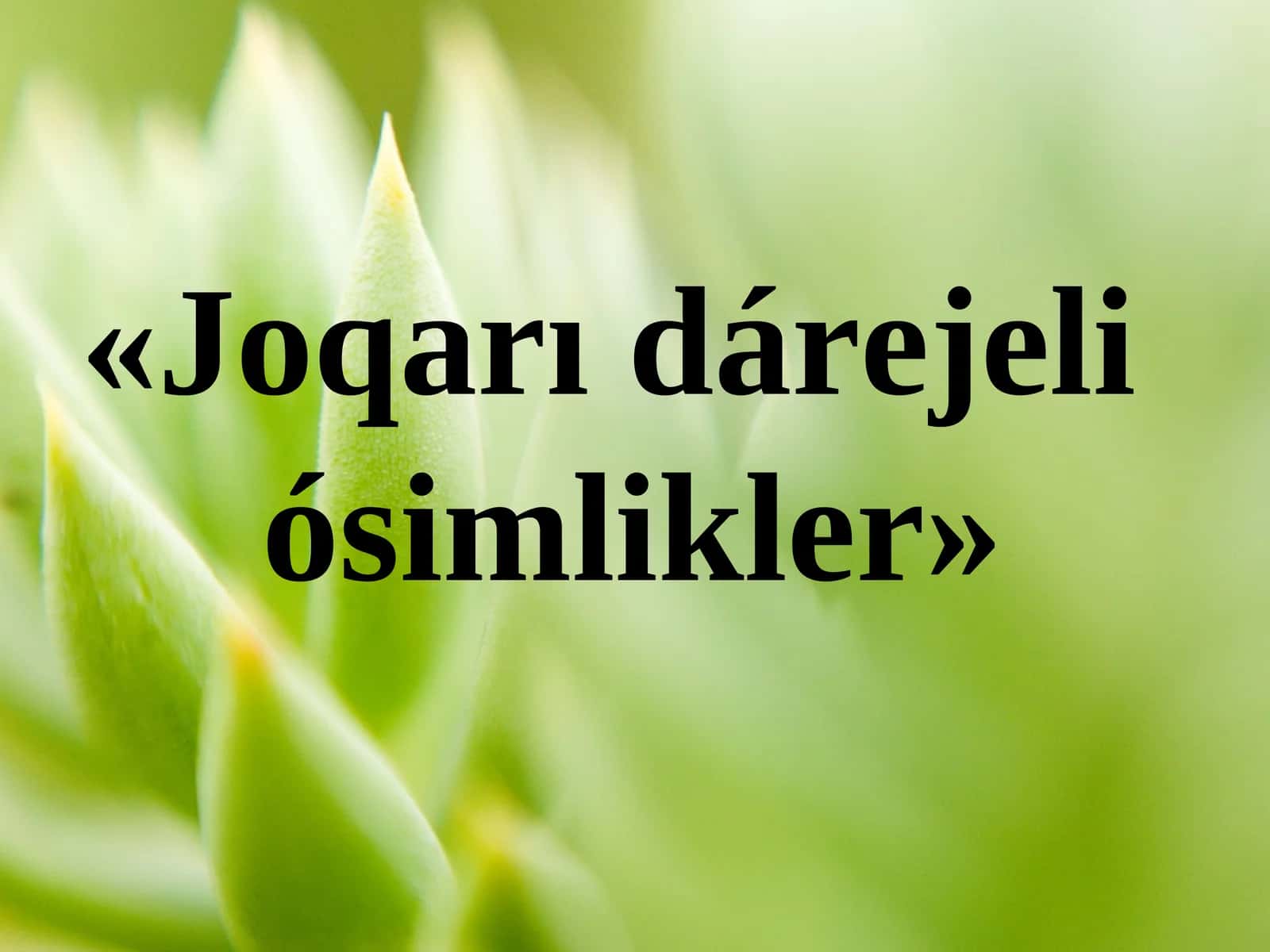 Joqarı dárejeli ósimlikler