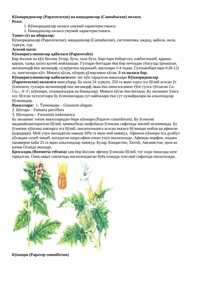 Кўкноридошлар (Papaveraceae) ва нашадошлар (Cannabaceae) оиласи