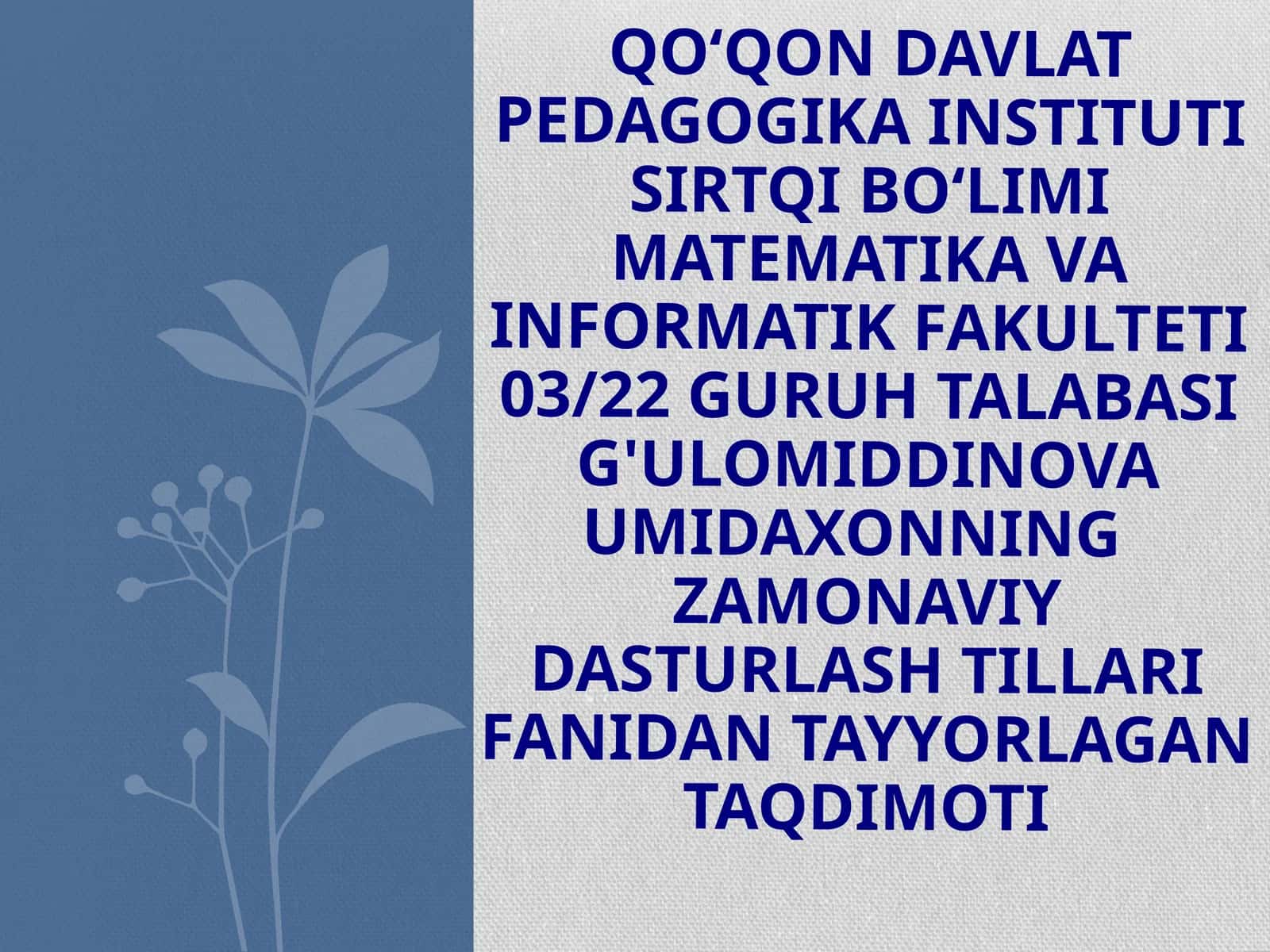 ZAMONAVIY DASTURLASHTIRISH TILLARI FANIDAN TAYYORLAGAN TAQDIMOTI