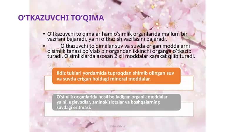 O‘TKAZUVCHI TO‘QIMA