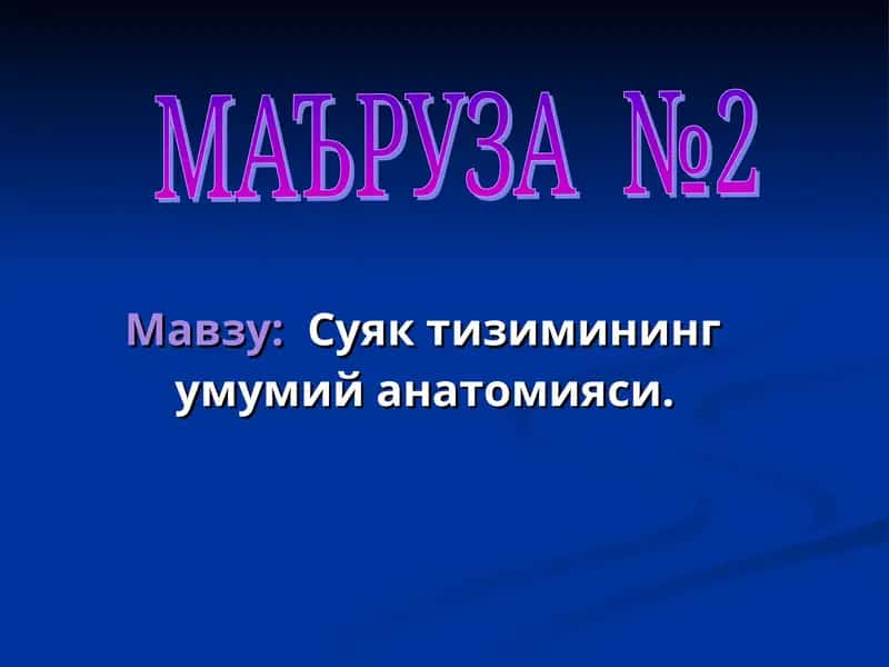 suyak tizimining umumiy anatomiyasi 1