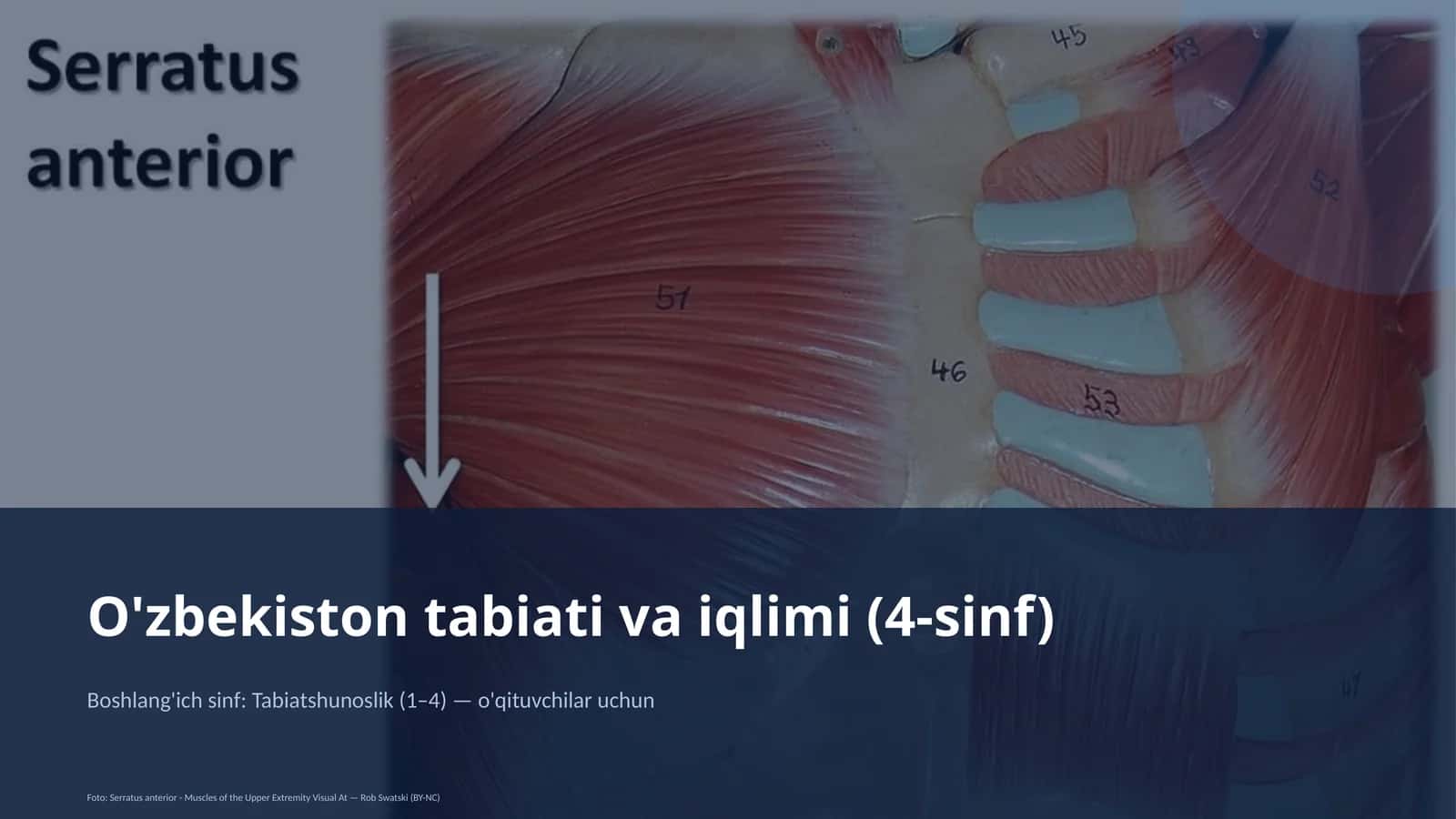 O'zbekiston tabiati va iqlimi (4-sinf)