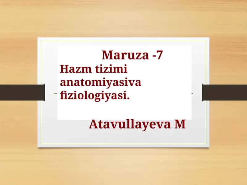 Hazm Tizimining Anatomiya va Fiziologiyasi