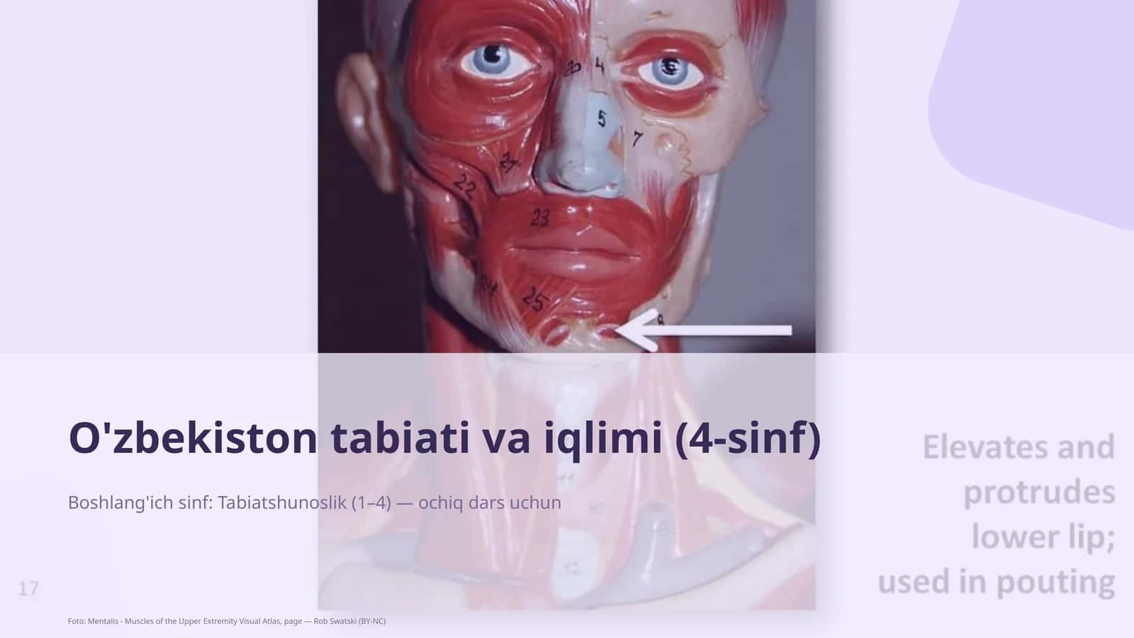 O'zbekiston tabiati va iqlimi (4-sinf)