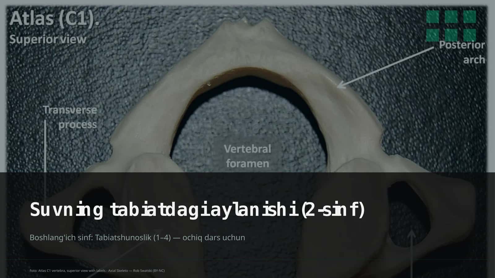 Suvning tabiatdagi aylanishi (2-sinf)