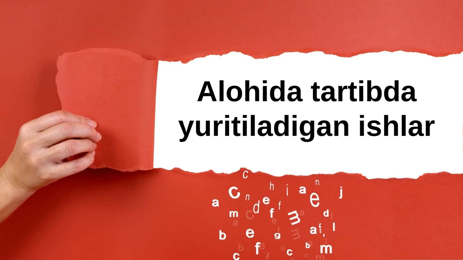 Alohidatartibdayuritiladiganishlar