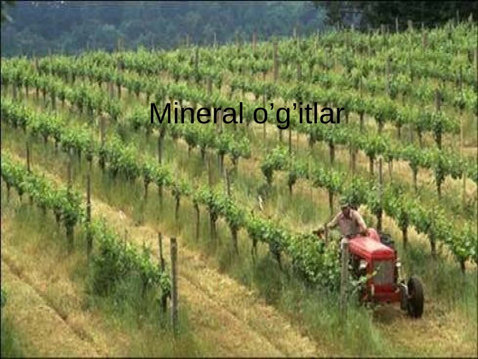 Mineral o’g’itlar