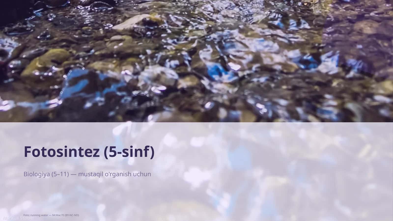 Fotosintez (5-sinf)