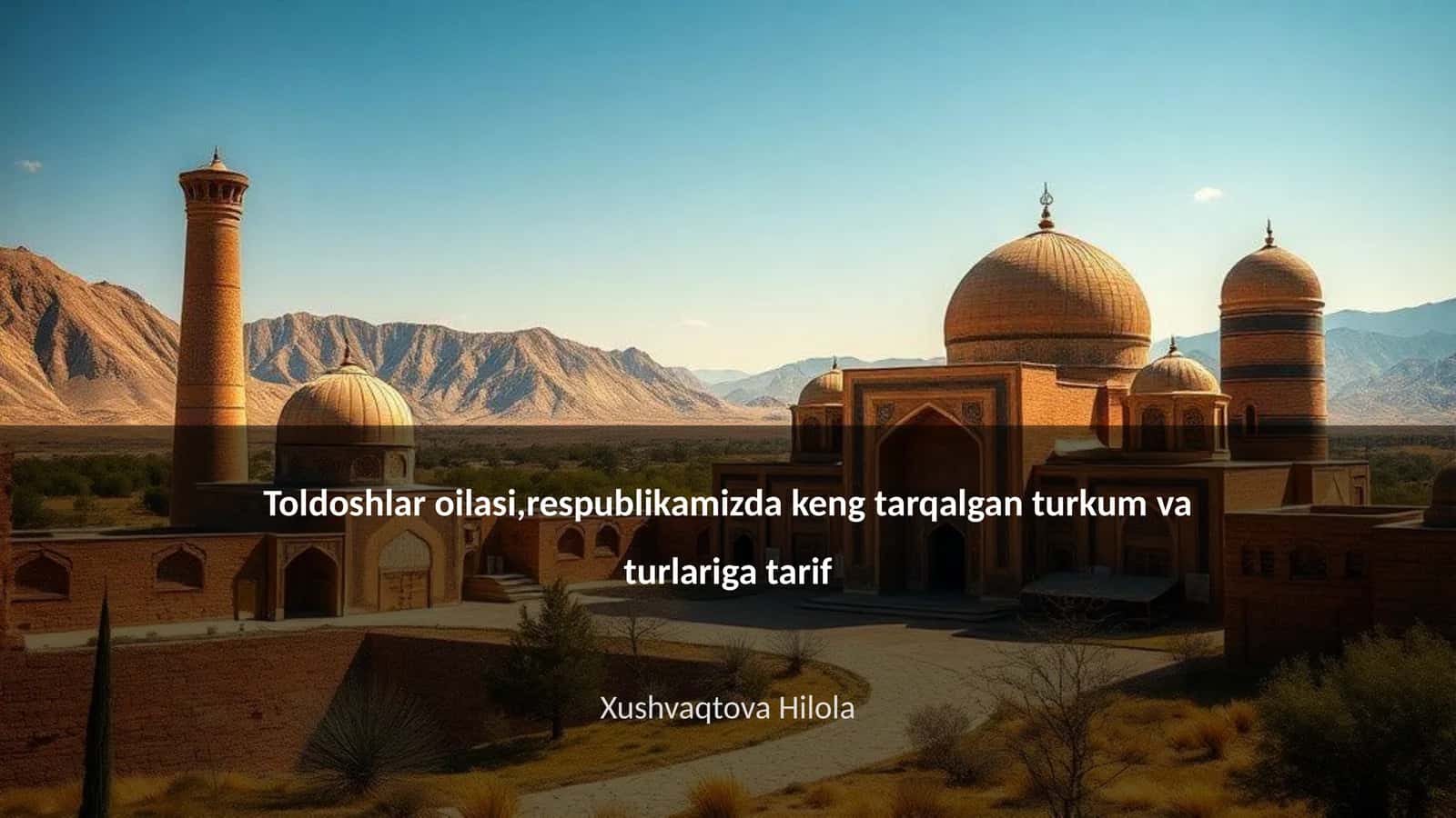 Toldoshlar oilasi