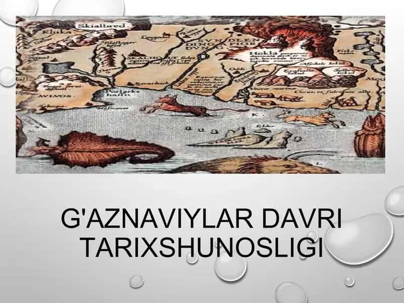 G'aznaviylar davri tarixshunosligi