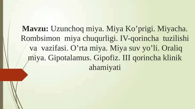 Uzunchoq miya. Miya Ko’prigi. Miyacha. Rombsimon  miya chuqurligi. IV-qorincha  tuzilishi  va  vazifasi. O’rta miya. Miya suv yo’li. Oraliq miya. Gipotalamus. Gipofiz. III qorincha klinik ahamiyati