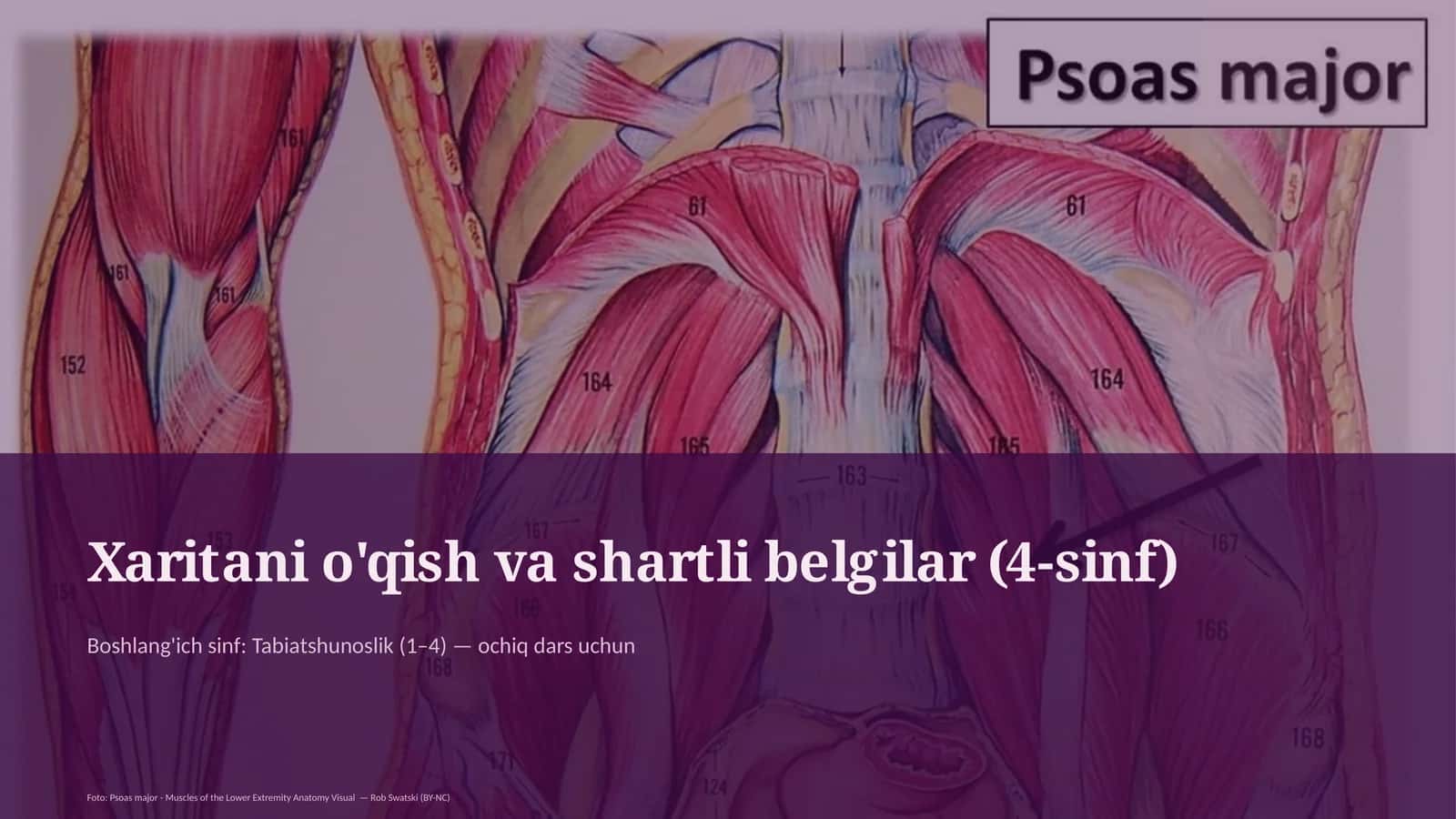 Xaritani o'qish va shartli belgilar (4-sinf)